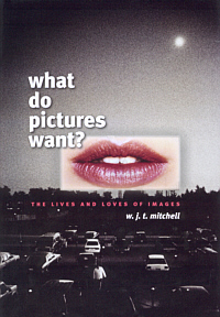 Buchcover von What Do Pictures Want?