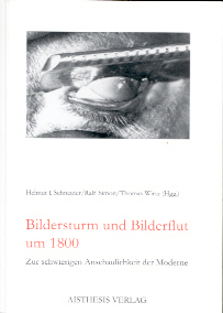 Buchcover von Bildersturm und Bilderflut um 1800