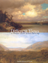 Buchcover von Different Views in Hudson River School Painting