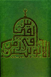 Buchcover von Ayyubid Jerusalem
