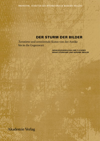 Buchcover von Der Sturm der Bilder