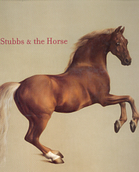 Buchcover von Stubbs & the Horse