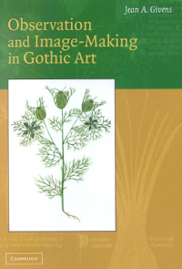 Buchcover von Observation and Image-Making in Gothic Art